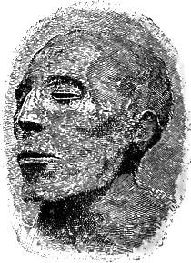 Mummy Head of Seti I
 Mummy Head of Seti I